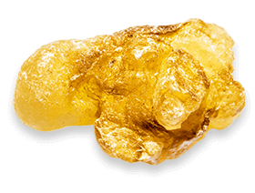 Boswellia Serrata natural ingredient in Joint Genesis joint health supplement